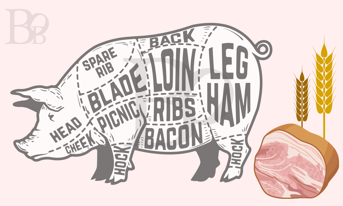 ミドル脂臭の予防に良いビタミンB1を多く含む豚肉